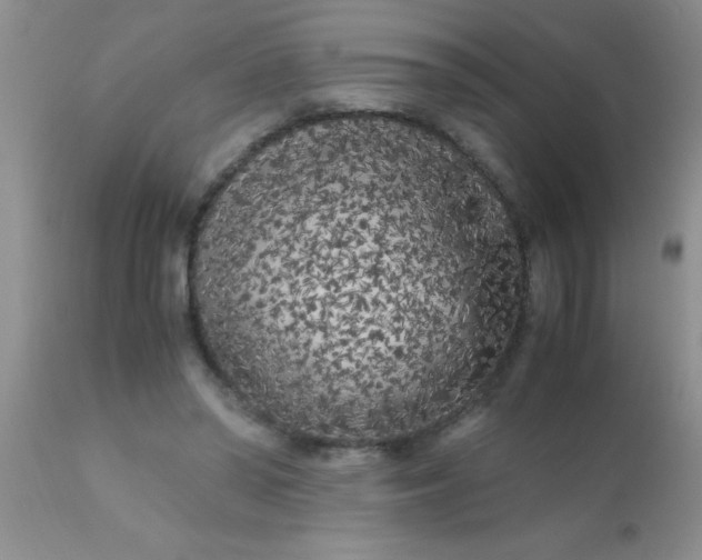 X0000110950398200907022202