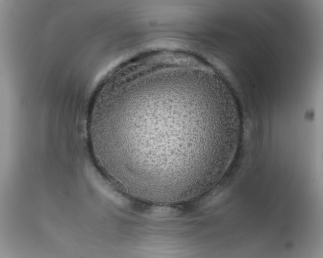 X0000110950399200907022202