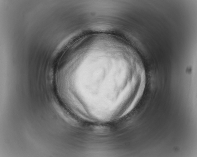 X0000110950400200907022202