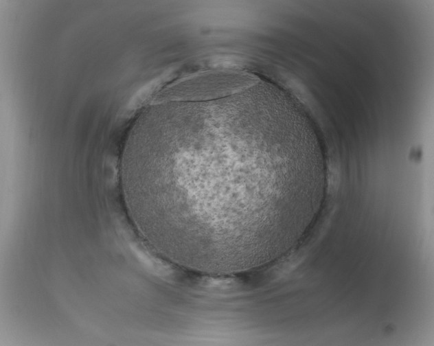 X0000110950401200907022202