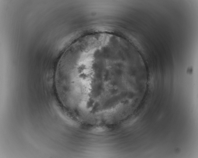 X0000110950402200907022202