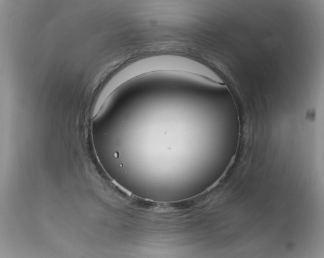 X0000110950403200907022202