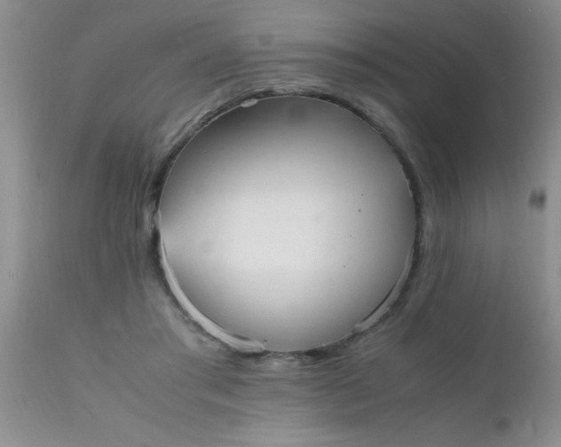 X0000110950405200907022202