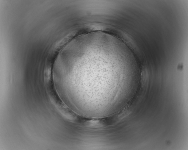 X0000110950406200907022202