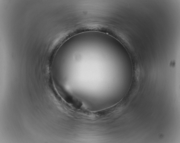 X0000110950407200907022202