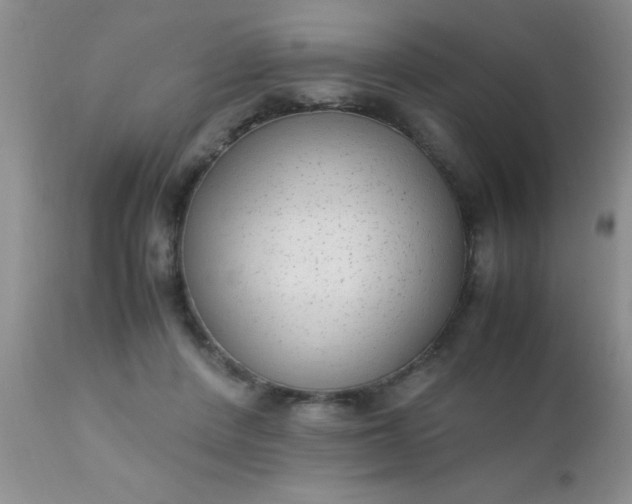 X0000110950408200907022202