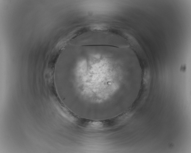 X0000110950409200907022202