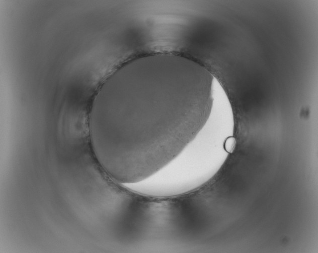 X0000110950411200907022202