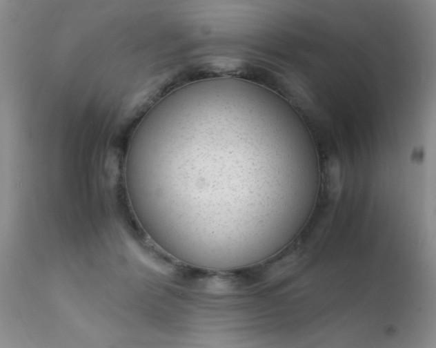 X0000110950412200907022202