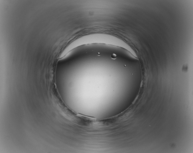 X0000110950413200907022202