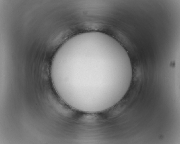 X0000110950414200907022202