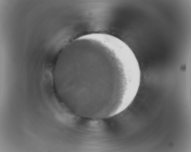 X0000110950415200907022202