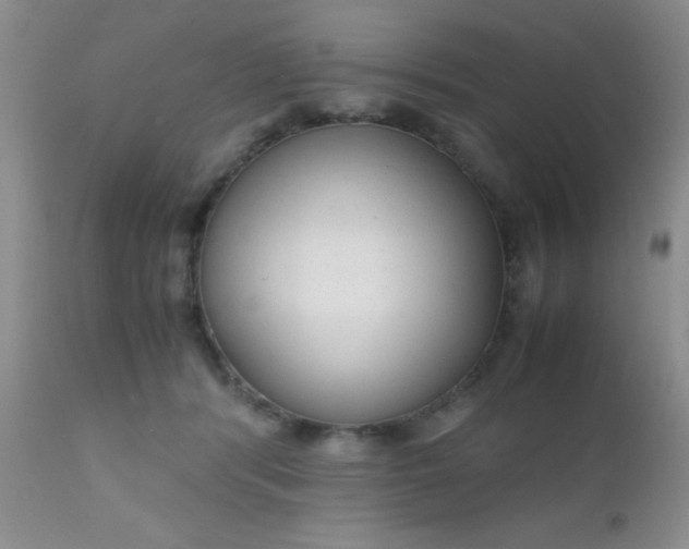 X0000110950416200907022202