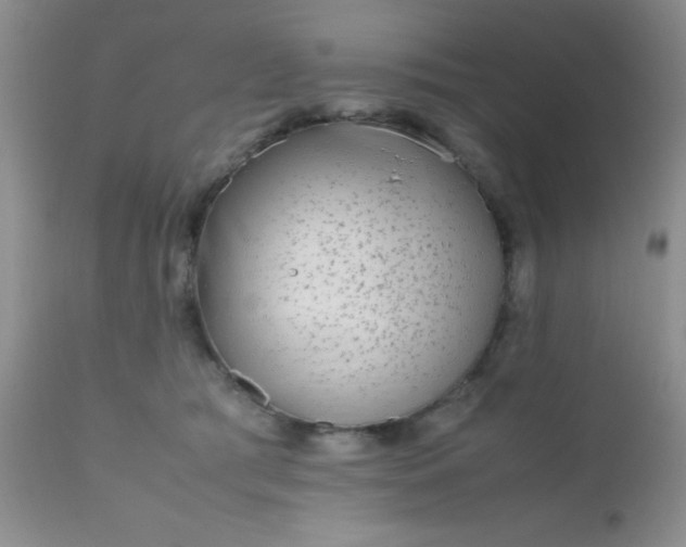 X0000110950417200907022202