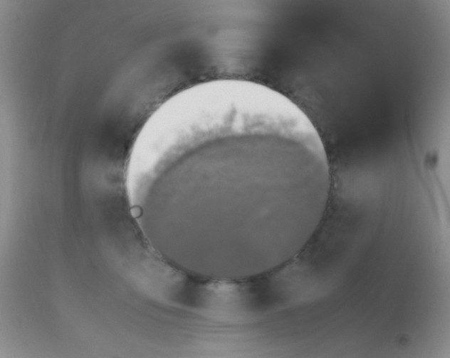 X0000110950419200907022202