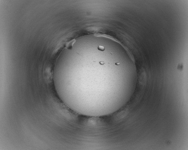 X0000110950420200907022202