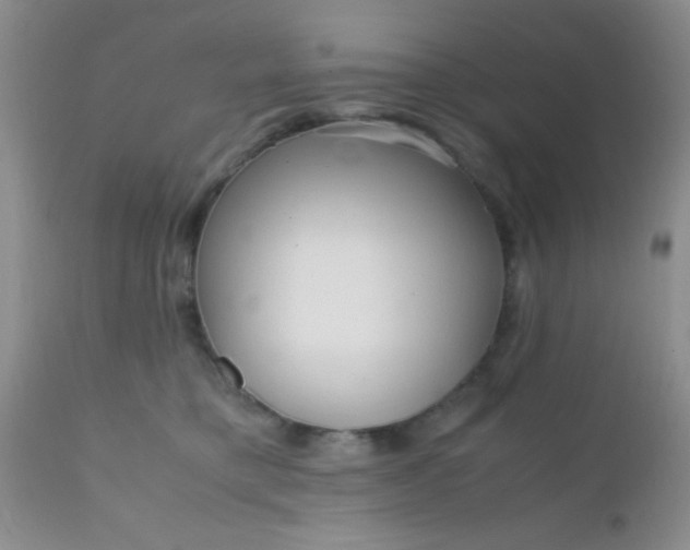 X0000110950421200907022202