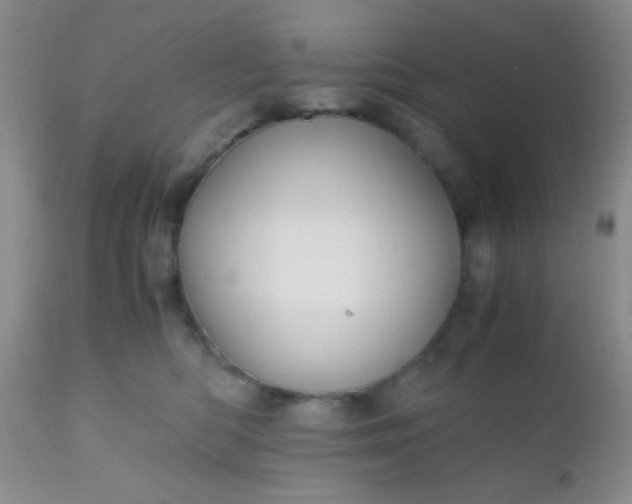 X0000110950422200907022201