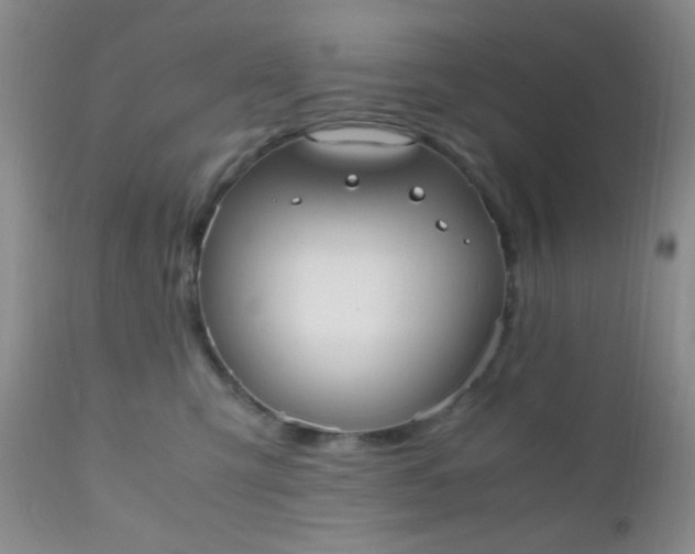 X0000110950423200907022201