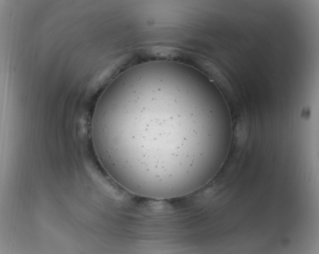 X0000110950424200907022201