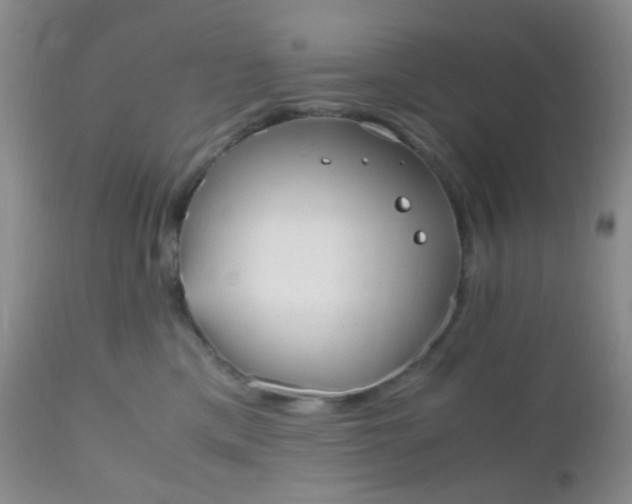 X0000110950425200907022201