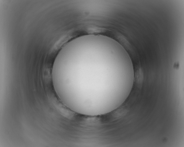 X0000110950426200907022201