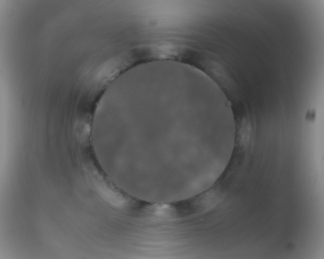 X0000110950427200907022201