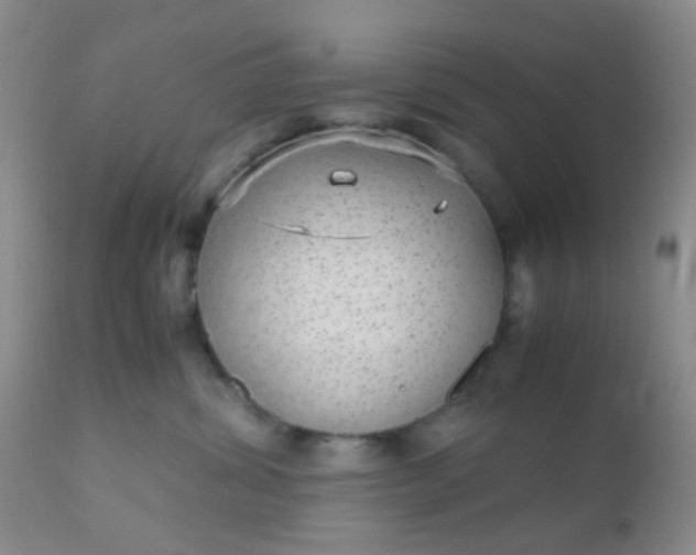 X0000110950428200907022201