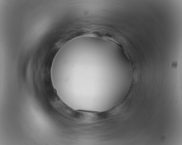 X0000110950429200907022201