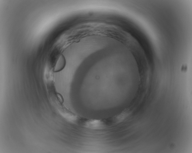 X0000110950431200907022201