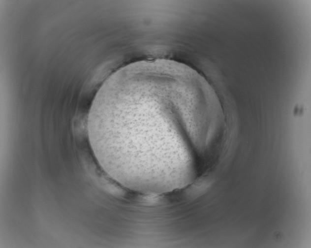 X0000110950432200907022201