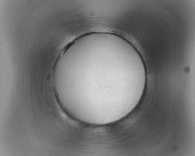 X0000110950433200907022201