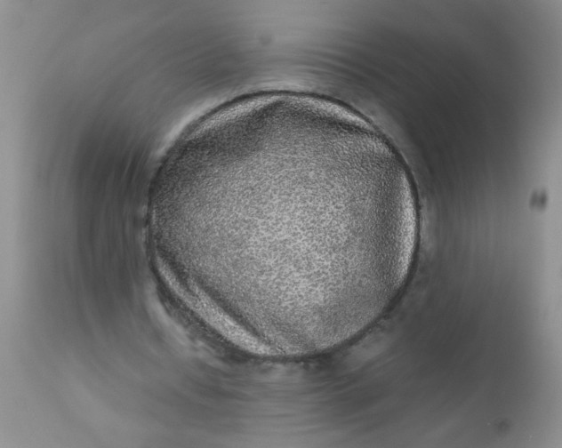 X0000110950434200907022201