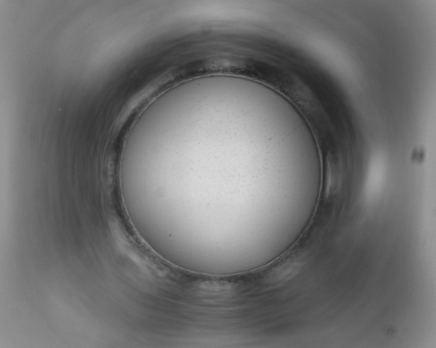 X0000110950435200907022201