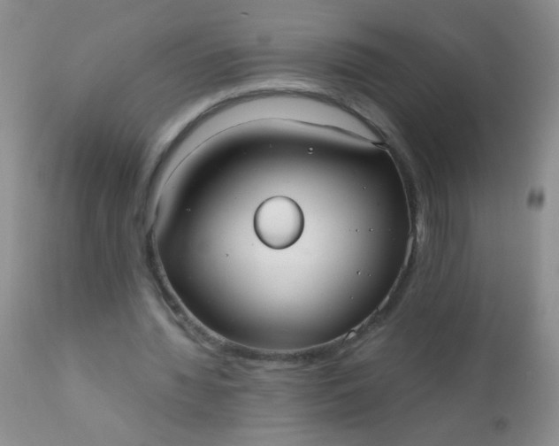 X0000110950436200907022201