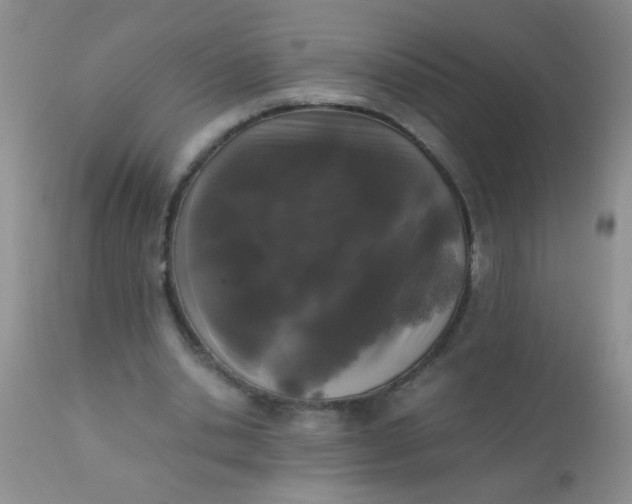 X0000110950438200907022201