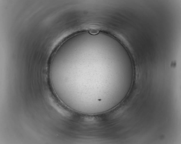 X0000110950439200907022201