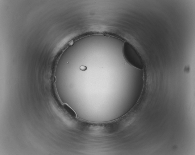 X0000110950440200907022201