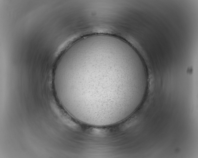 X0000110950442200907022201