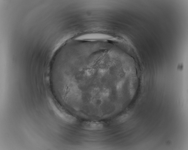 X0000110950443200907022201