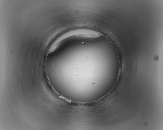 X0000110950444200907022201