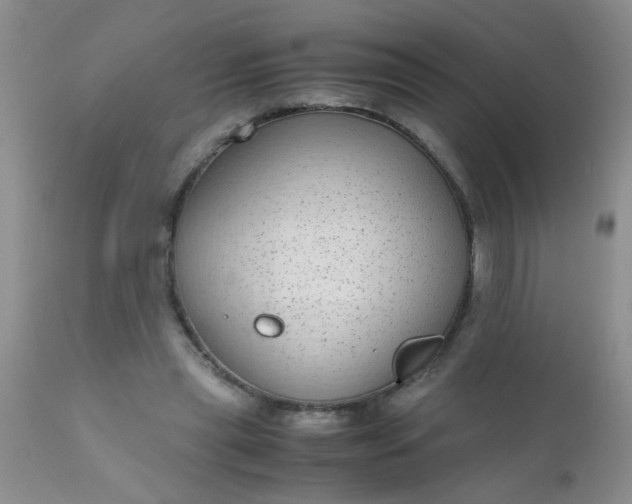 X0000110950445200907022201