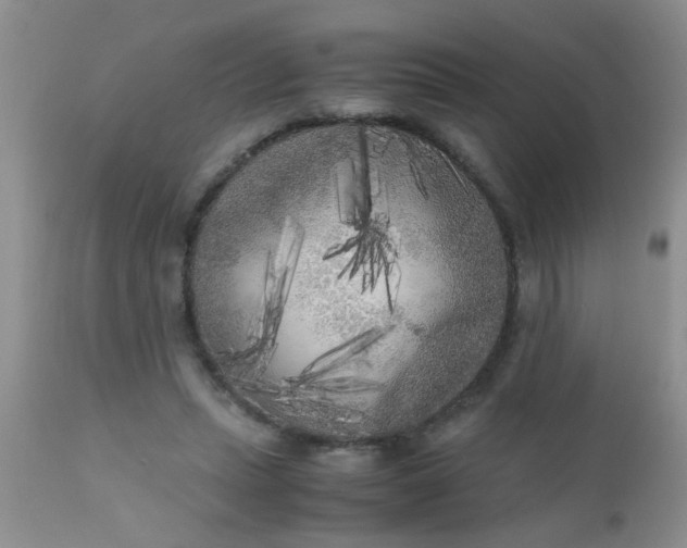 X0000110950447200907022201