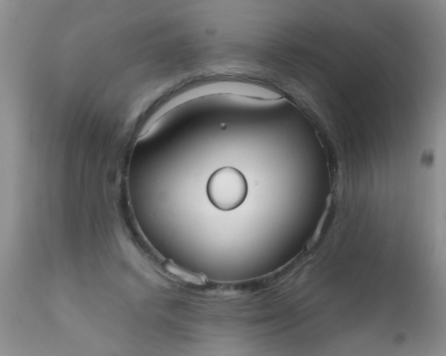 X0000110950448200907022201