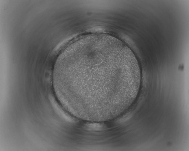 X0000110950449200907022201