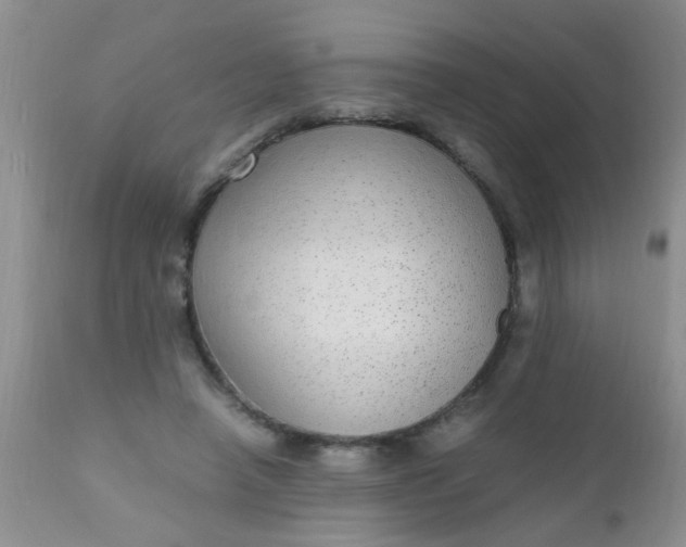 X0000110950450200907022201