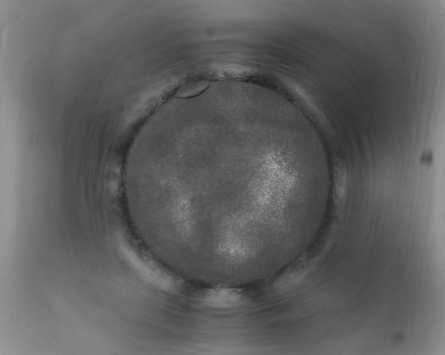 X0000110950451200907022201