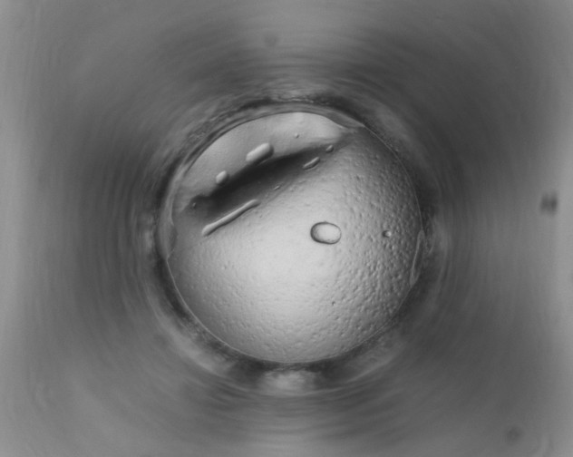 X0000110950452200907022201