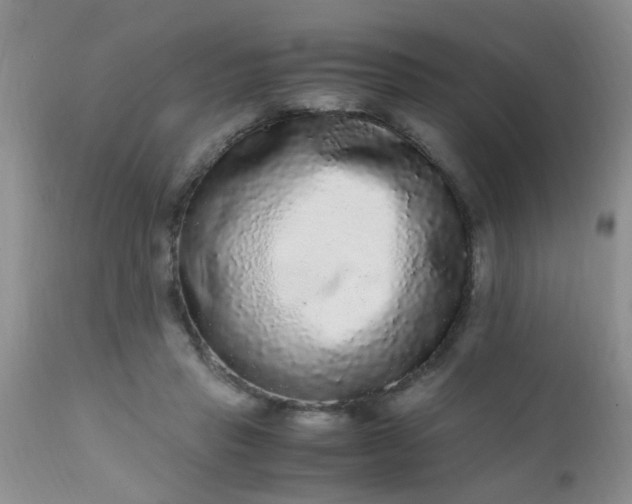 X0000110950453200907022201