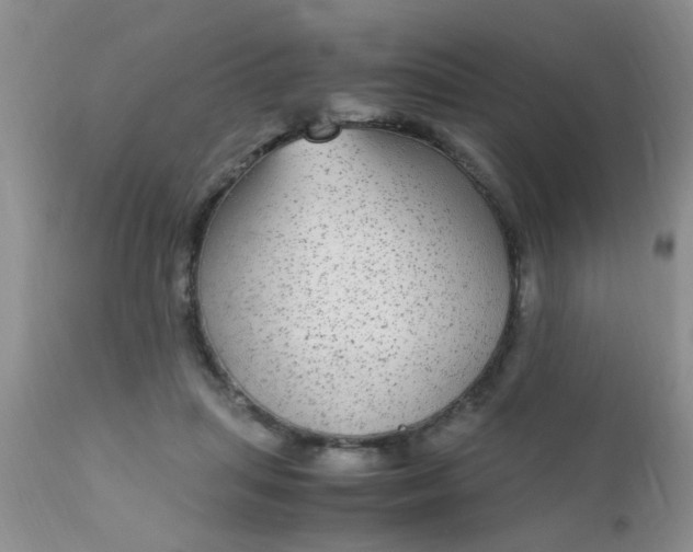 X0000110950455200907022201